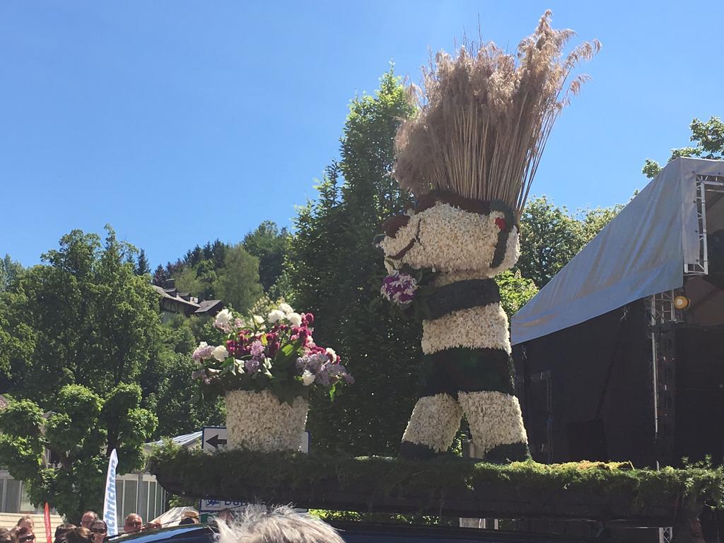 Alpine Appartments Ausseerland Bad Aussee Eksteriør billede